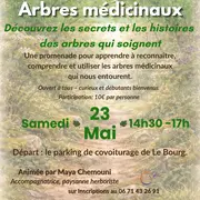 Balade nature : arbres médicinaux à le Bourg