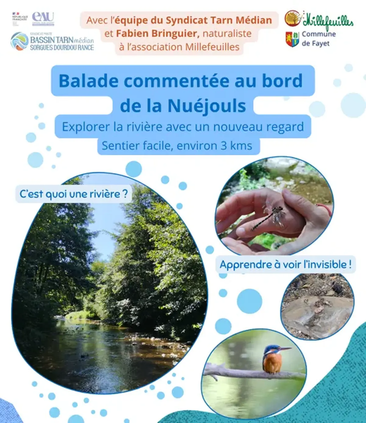 Balade nature au bord de la Nuéjouls