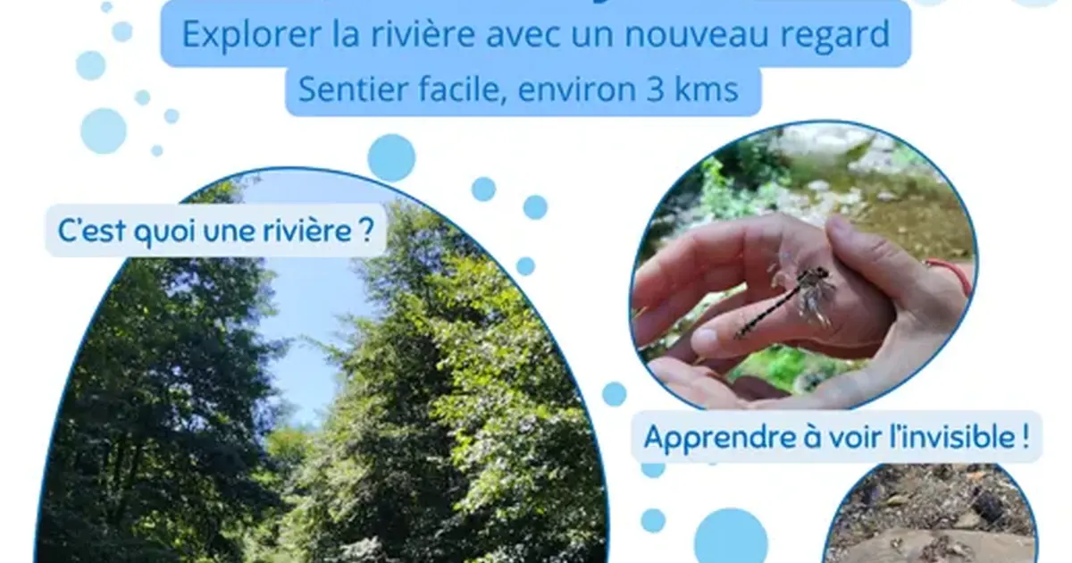 Balade nature au bord de la Nuéjouls