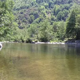 Balade Nature Au Bord Du Tarn