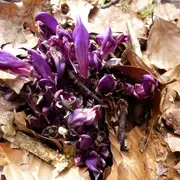 Balade nature autour du Château
