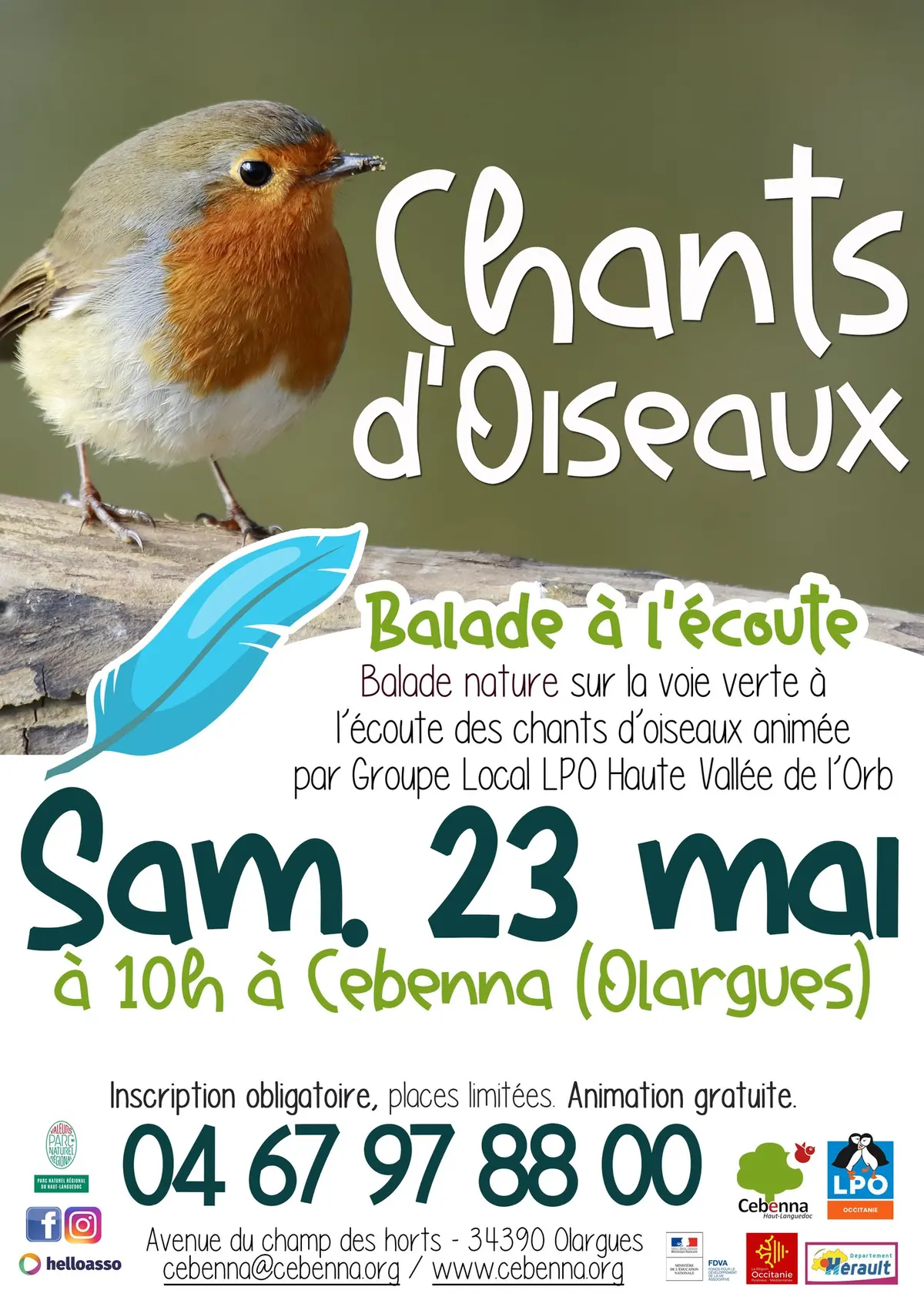 Balade Nature : Chants D’oiseaux