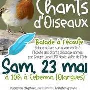 Balade Nature : Chants D’oiseaux