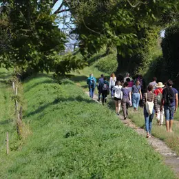Balade nature commentée