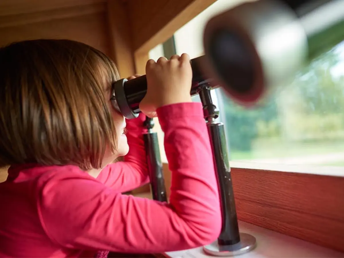 Balade nature dans le marais en famille