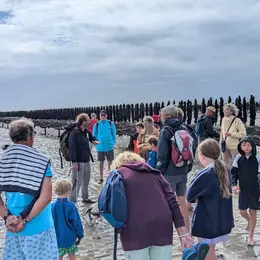 Balade nature : découverte de la marée basse