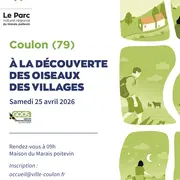 Balade nature Découverte des oiseaux des villages à Coulon