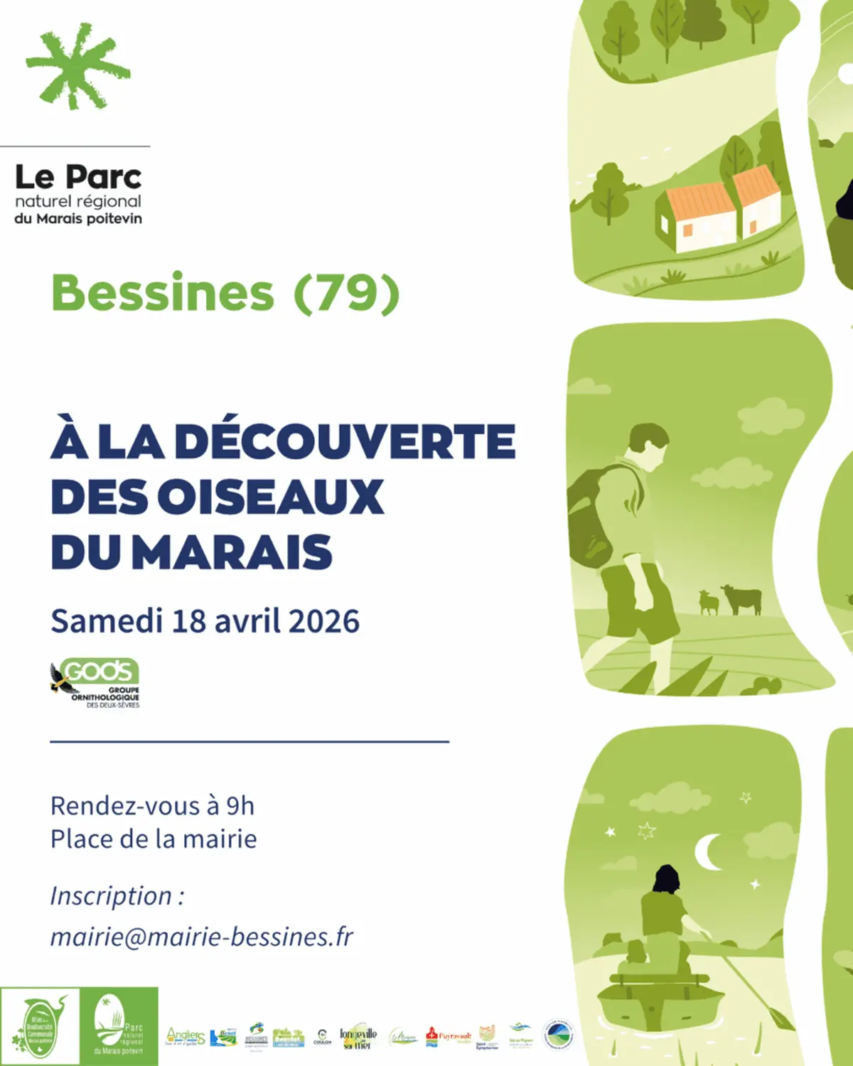 Balade nature Découverte des oiseaux du marais à Bessines