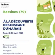 Balade nature Découverte des oiseaux du marais à Bessines