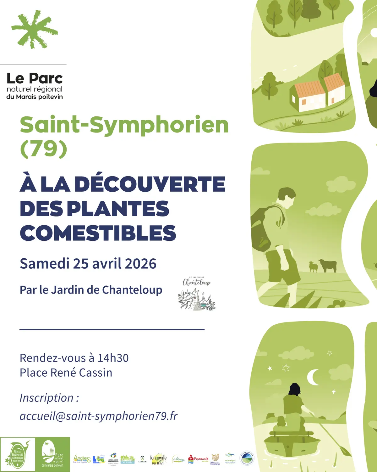 Balade nature Découverte des plantes comestibles à Saint-Symphorien