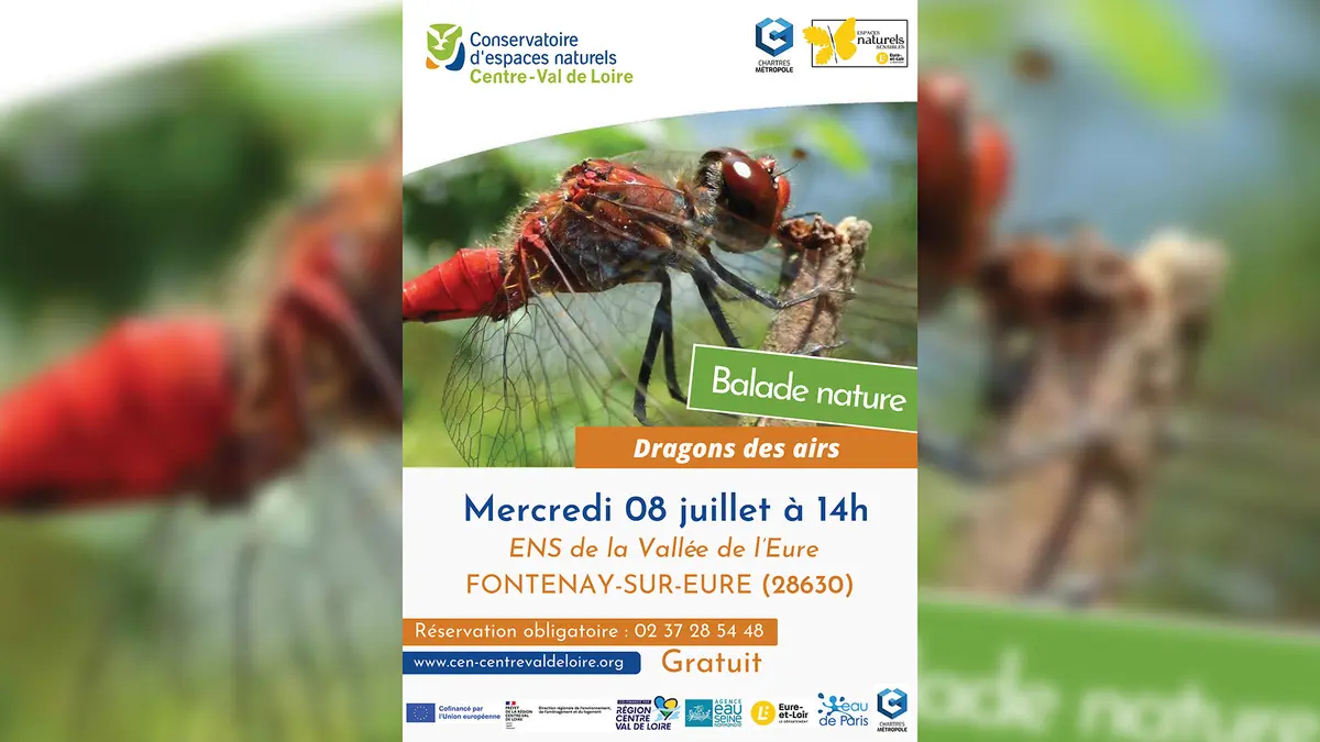 Balade nature : Dragons des airs