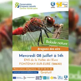 Balade nature : Dragons des airs