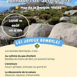 Balade Nature En Famille Au Taillades De Sénégrière