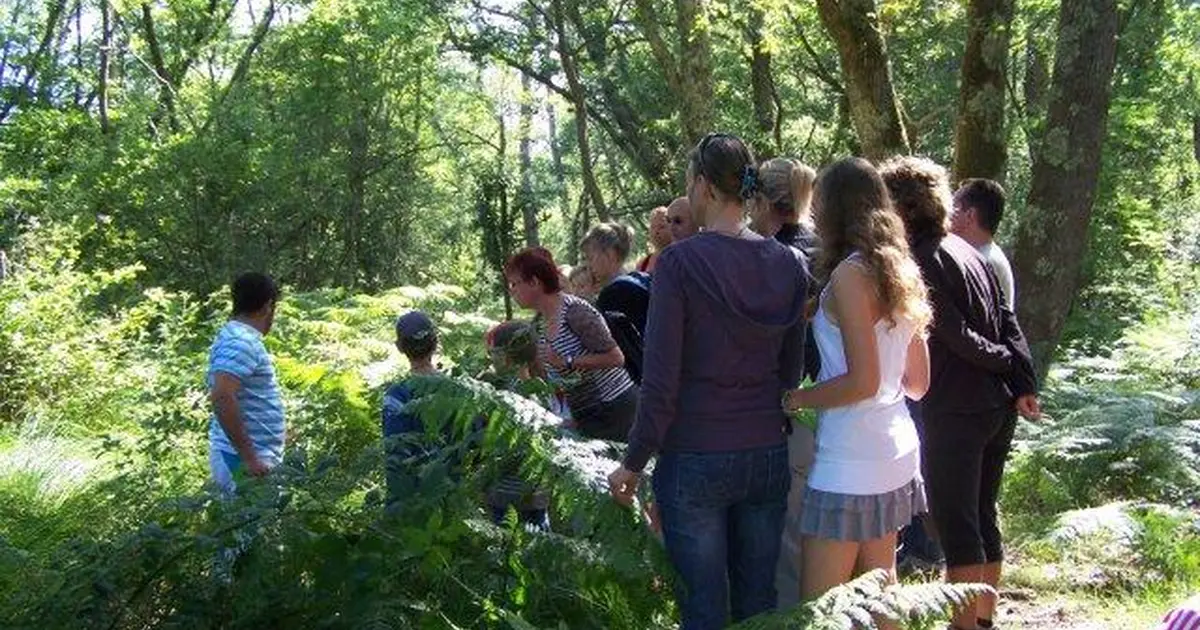 Balade nature en forêt Landaise