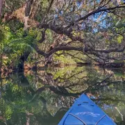 Balade nature en kayak