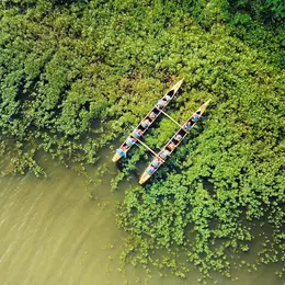 Balade nature en pirogue hawaïenne