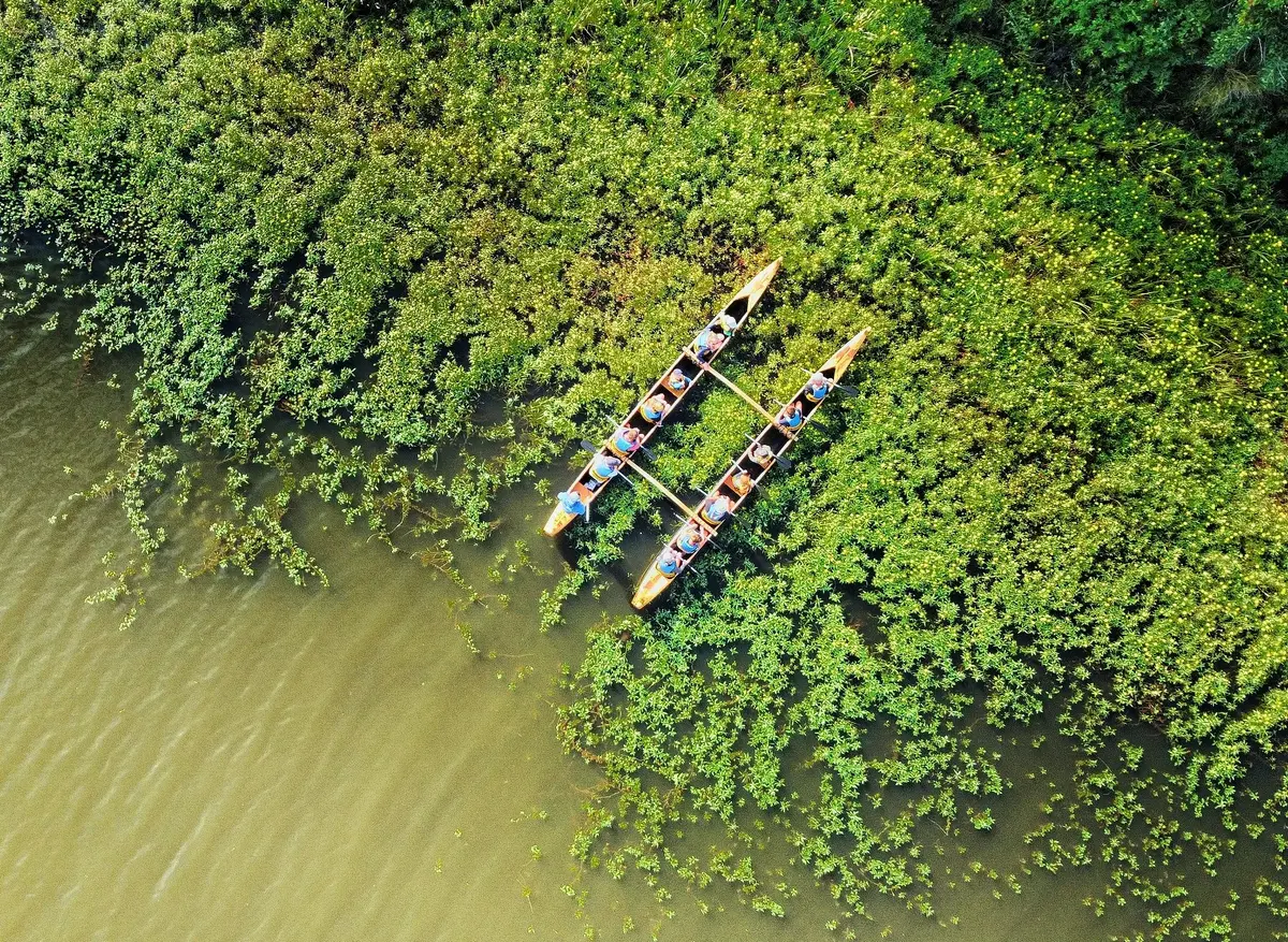 Balade nature en pirogue hawaïenne