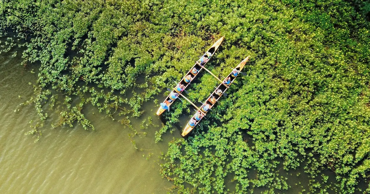 Balade nature en pirogue hawaïenne