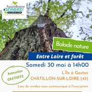 Balade nature : Entre Loire et forêt sur l'île à Gaston