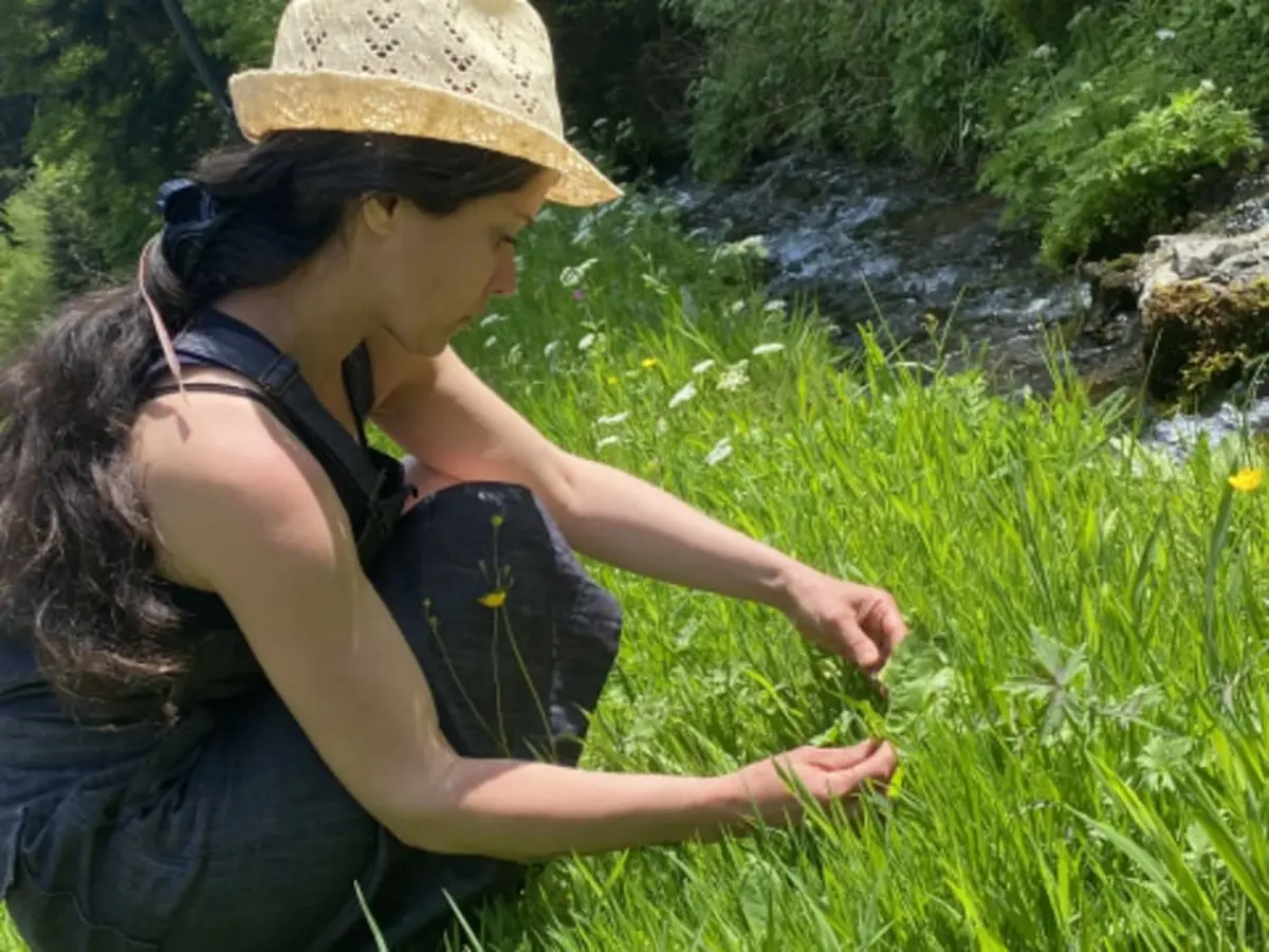 Balade nature & découverte des plantes sauvages à Grandfontaine