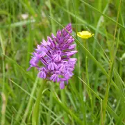 Balade nature et poésie sur les coteaux de Cadillon