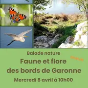 Balade nature « faune et flore des bords de Garonne »