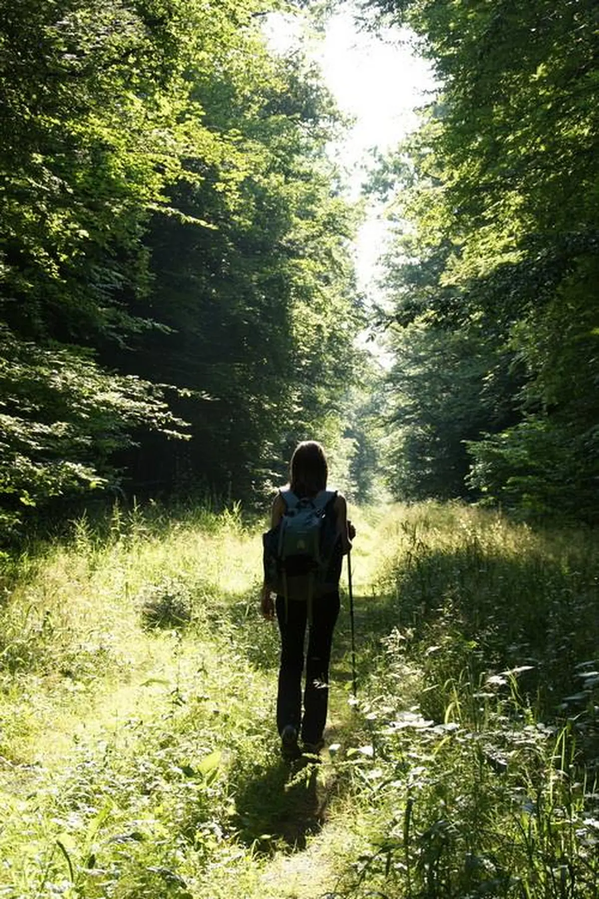 Balade nature - Histoire, légende et forêt