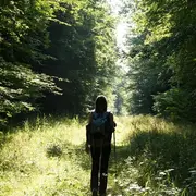 Balade nature - Histoire, légende et forêt