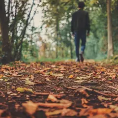 Balade nature Hommes et espèces sauvages une cohabitation possible