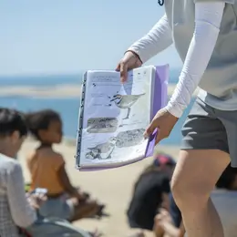 Balade nature : La migration des oiseaux à la Dune du Pilat