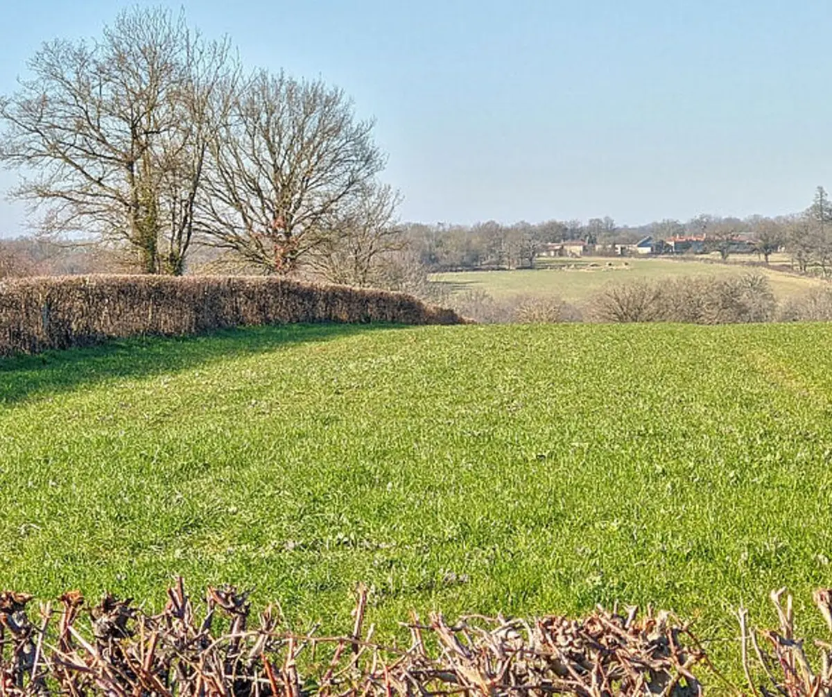 Balade nature Le bocage dévoilé : nature préservée et géologie à Luchapt
