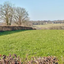 Balade nature Le bocage dévoilé : nature préservée et géologie à Luchapt