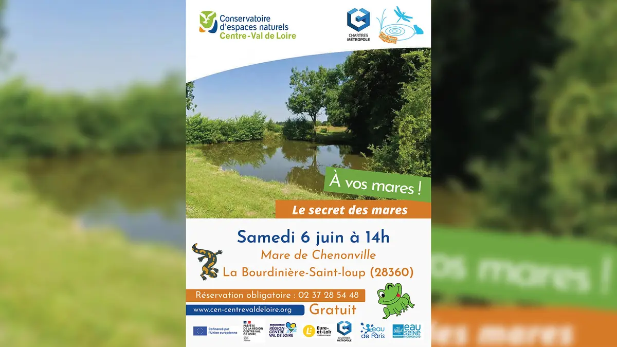 Balade nature : Le sercret des mares