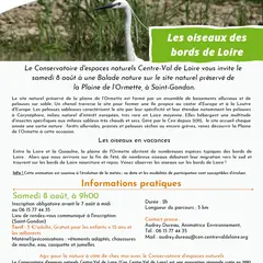 Balade nature : Les oiseaux des bords de Loire