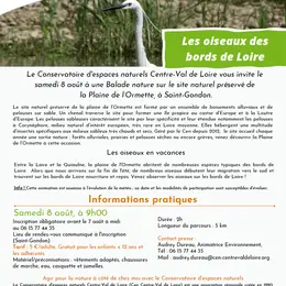 Balade nature : Les oiseaux des bords de Loire