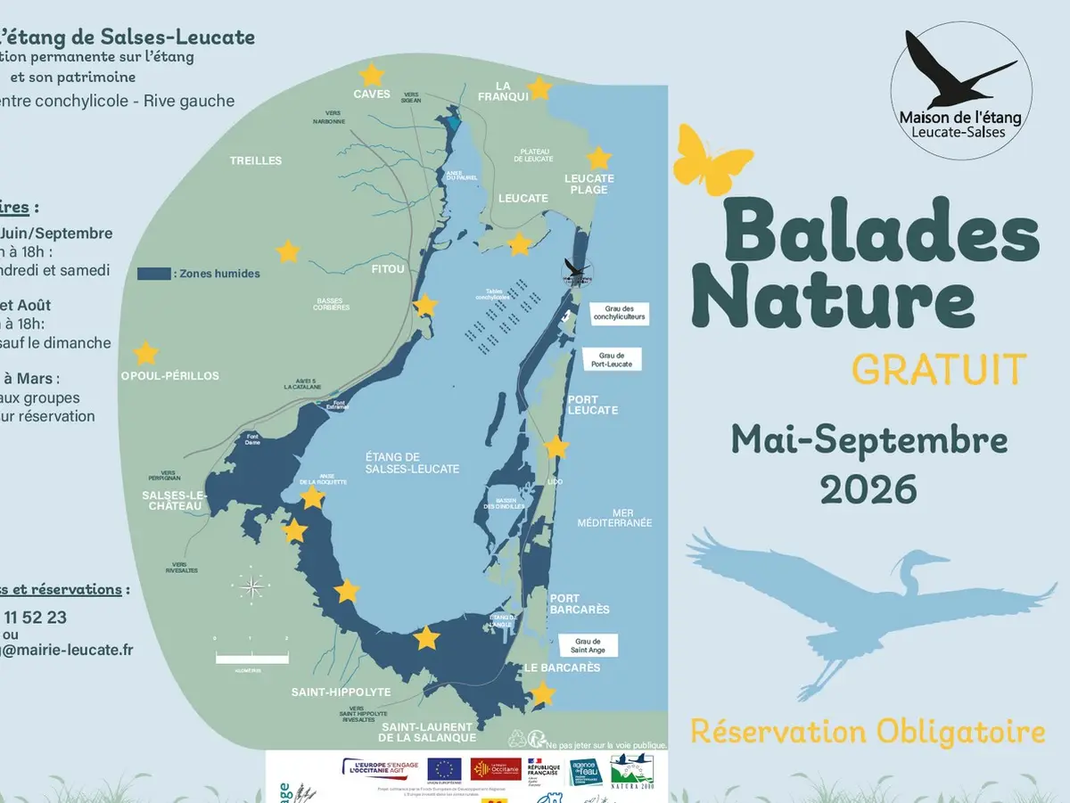 Balade Nature : Les Oiseaux Du Bâti