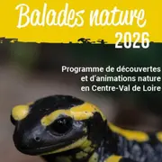 Balade nature - Les orchidées du Sancerrois