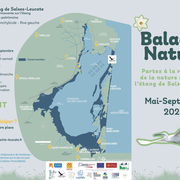 Balade Nature - Les Secrets De La Flore