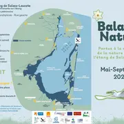 Balade Nature - Les Secrets De La Flore