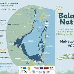 Balade Nature - Les Secrets De La Flore