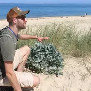 Balade nature : Plantes de sable et de vent, la flore sauvage de la dune du Pilat
