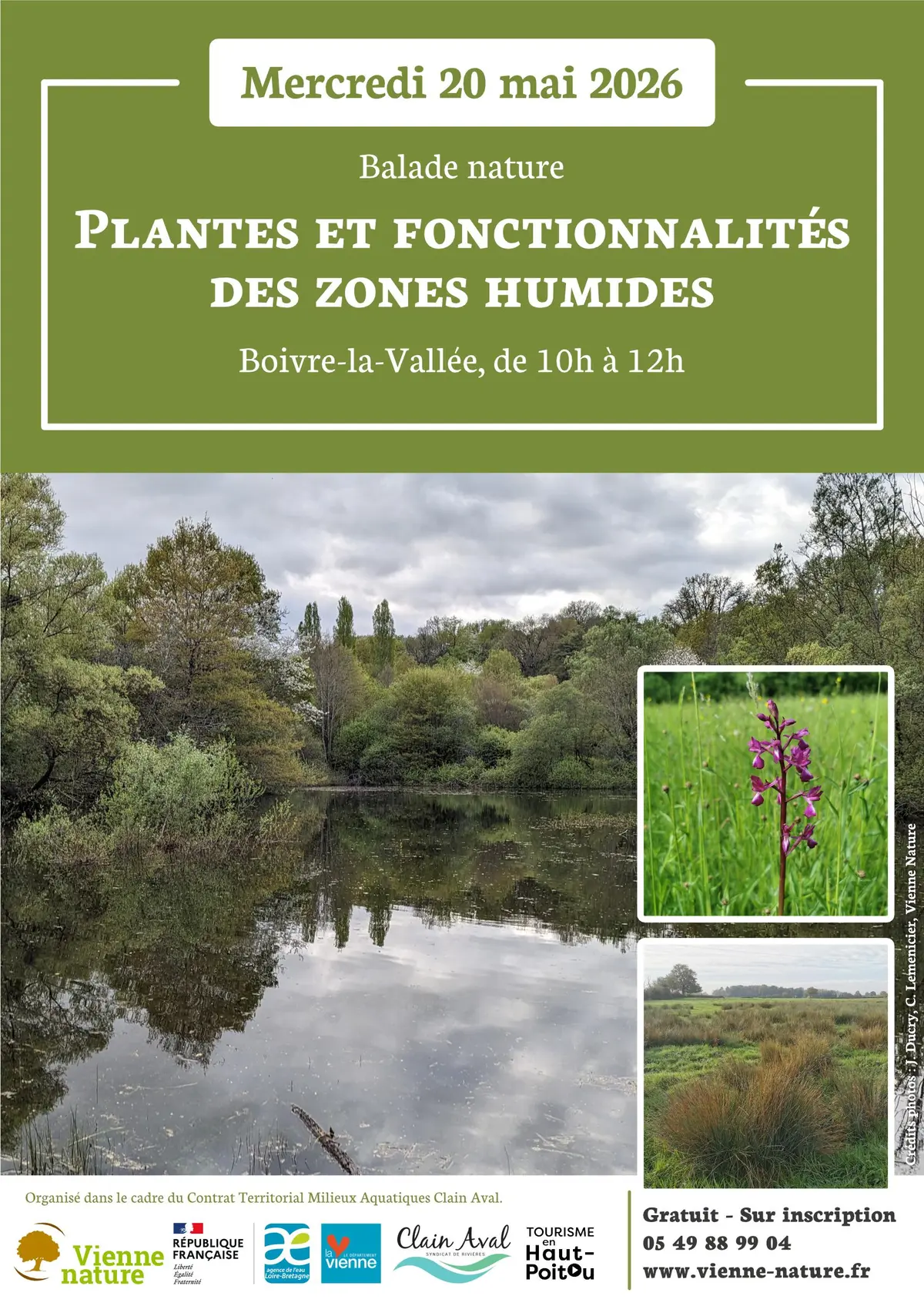 Balade nature : plantes et fonctionnalités des zones humides