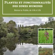 Balade nature : plantes et fonctionnalités des zones humides