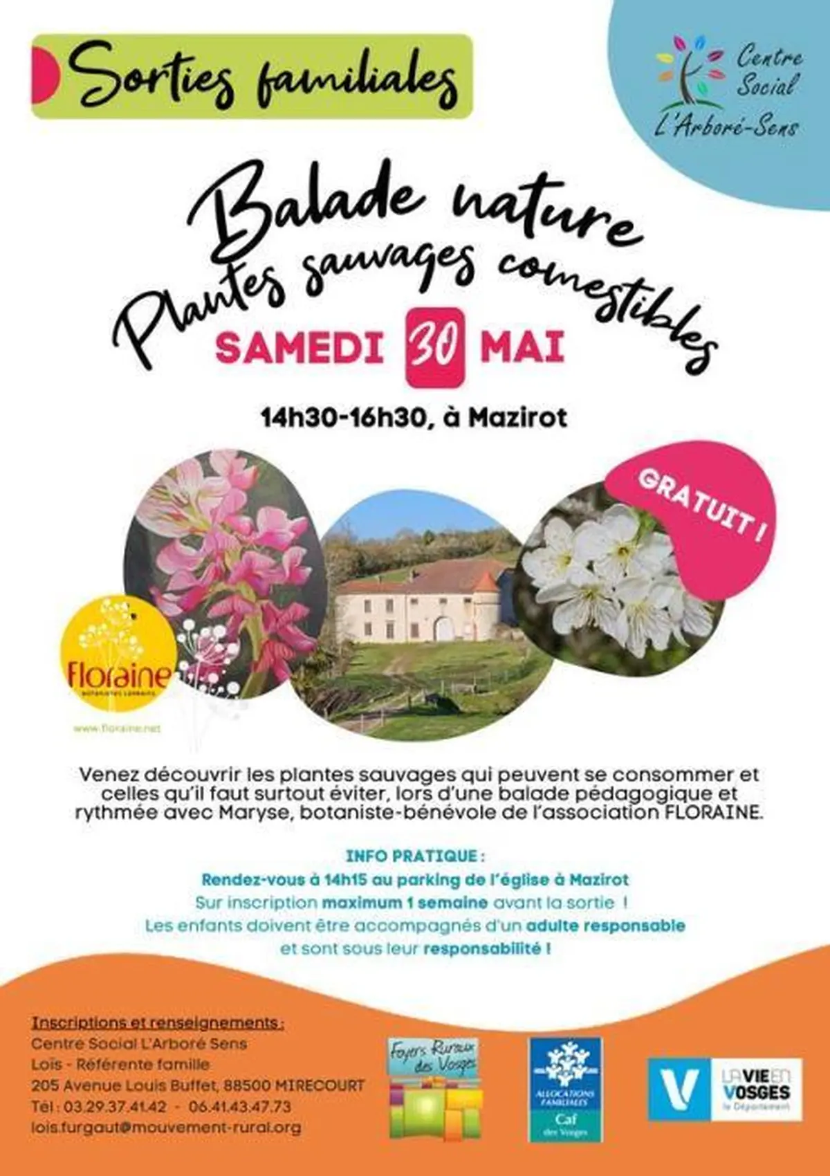 Balade nature plantes sauvages et comestibles