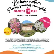 Balade nature plantes sauvages et comestibles