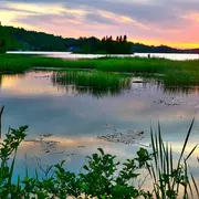 Balade nature : Préventions des tiques