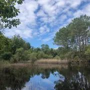 Balade nature : Printemps sur la lagune