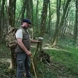 Balade nature - Promenons-nous dans les bois… Forêt, vergers et patrimoine rural