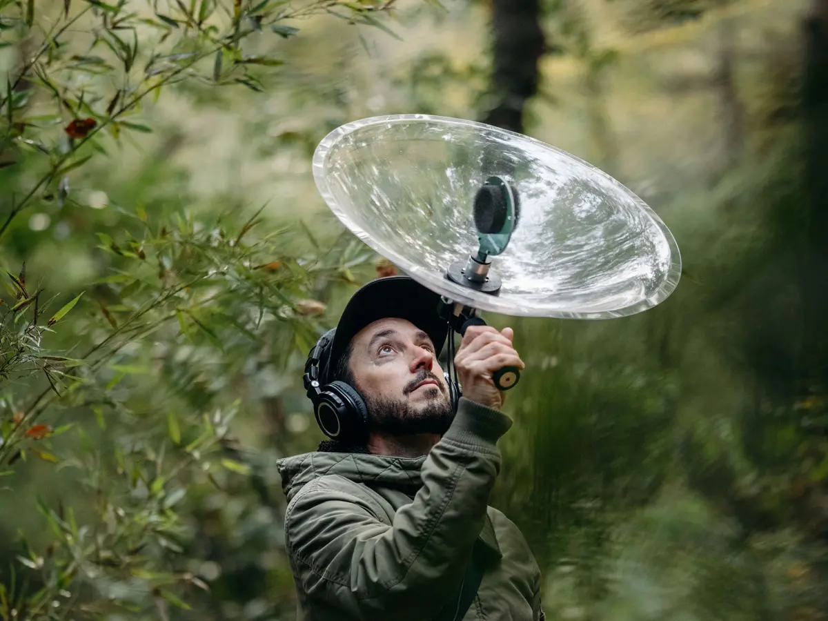 Balade nature sonore