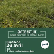 Balade nature sur les coteaux d'Ayen